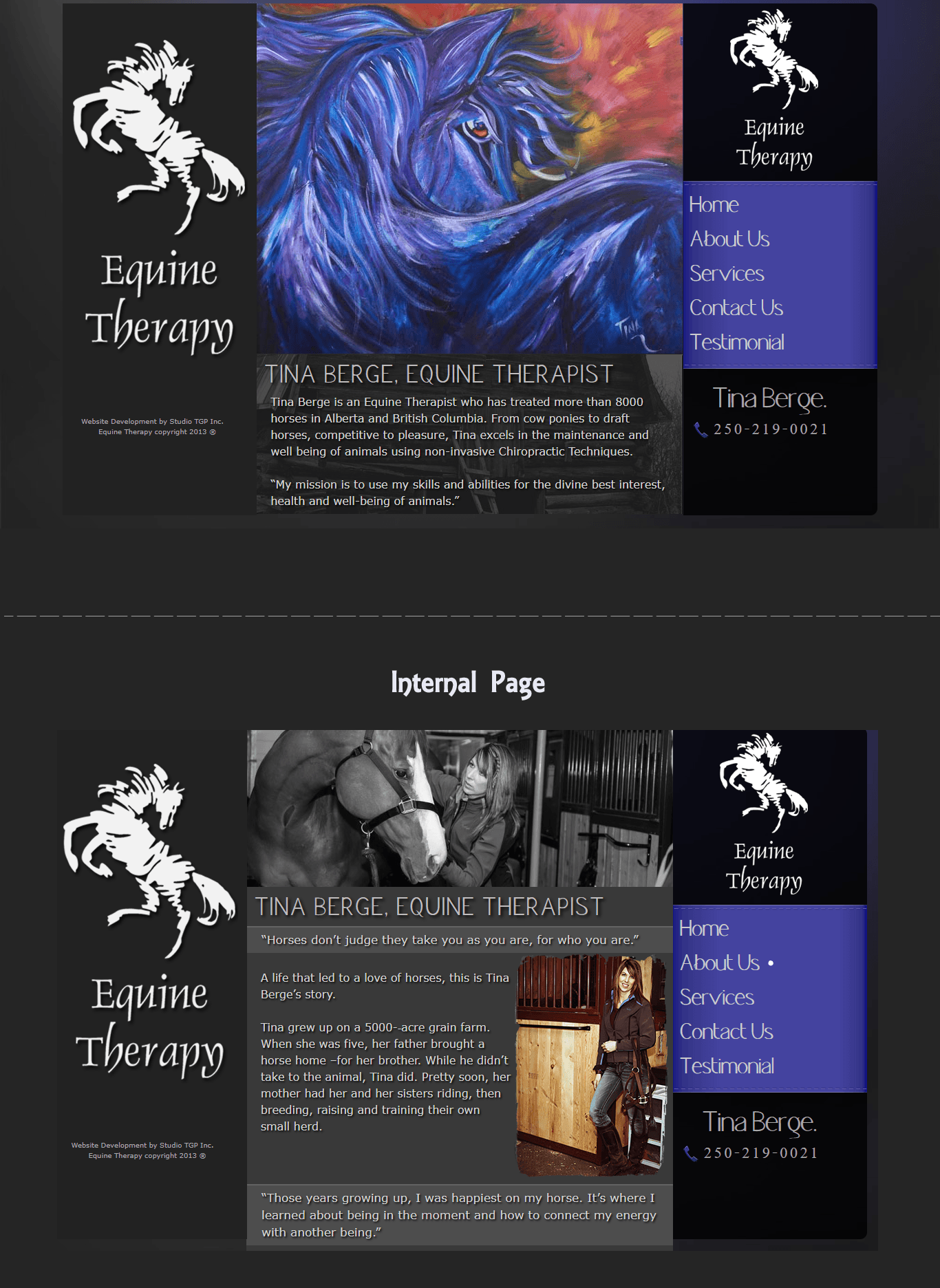 TBequinetherapy equestrian therapy site